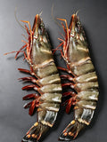 Frozen Giant Black Tiger Prawns