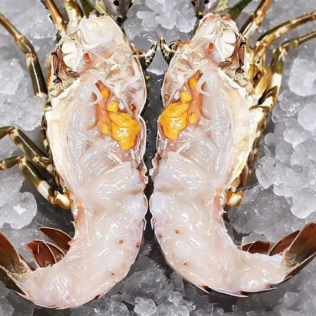 Frozen Extra-Large Green Spiny Lobsters — view 3