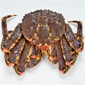 Live King Crab