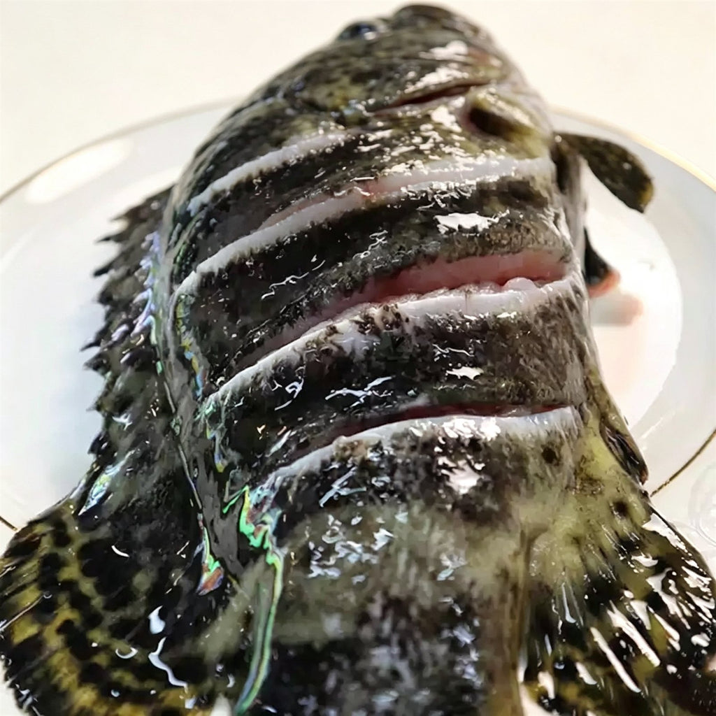 Frozen Whole Grouper — view 2