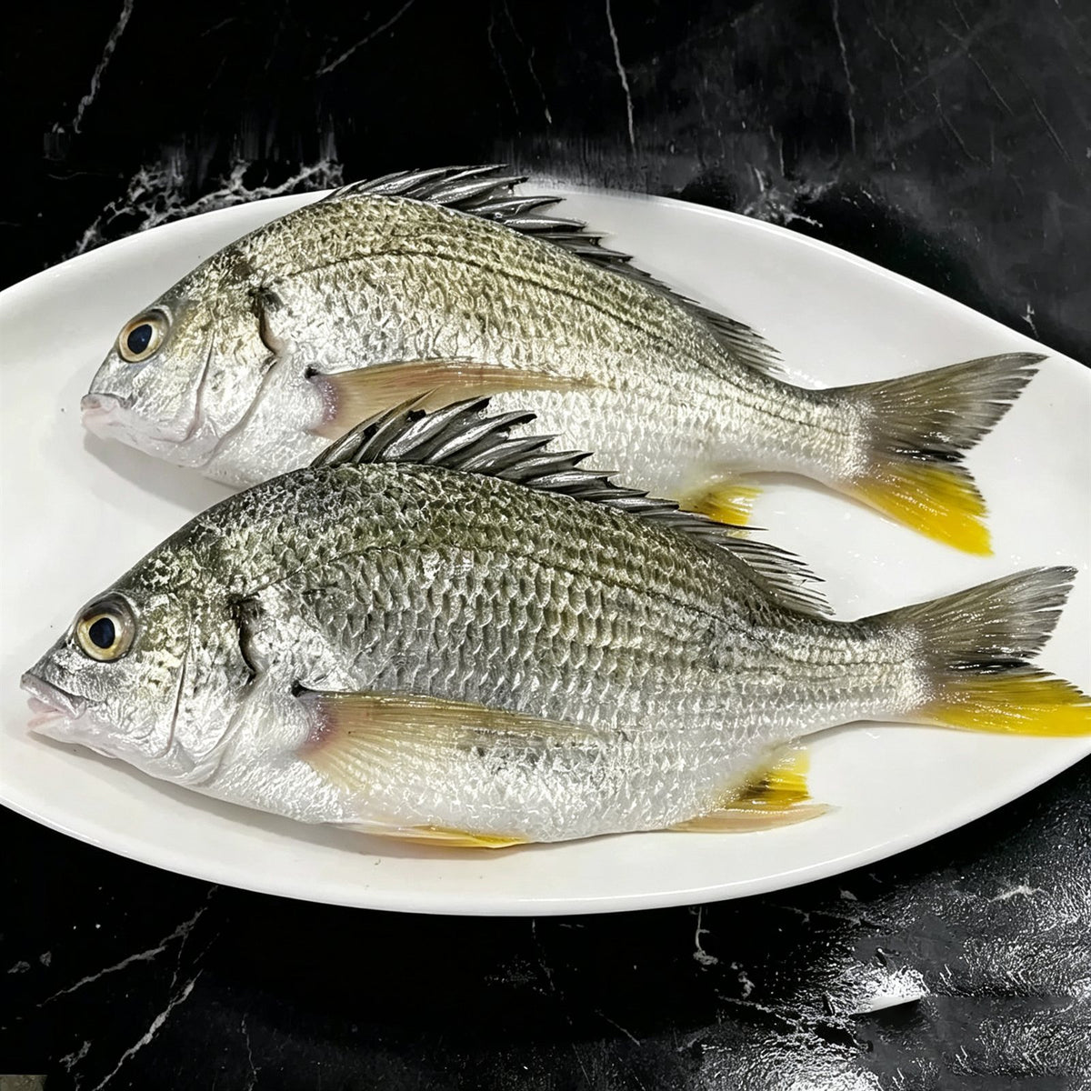 Frozen Wild-Caught Yellowfin Sea Bream